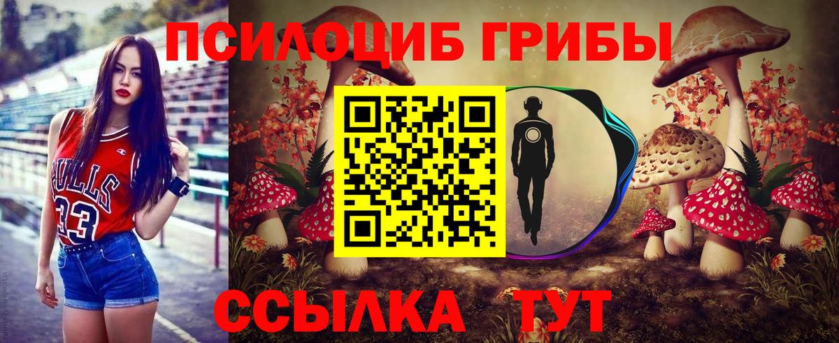 Галлюциногенные грибы Psilocybe Ачхой-Мартан