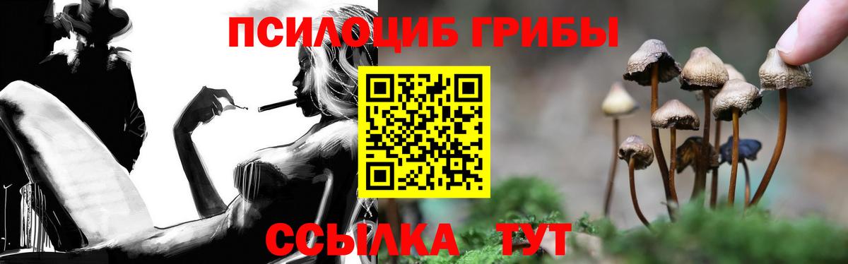 Ачхой-Мартан  где найти   Вход с VPN  Галлюциногенные грибы Psilocybe 